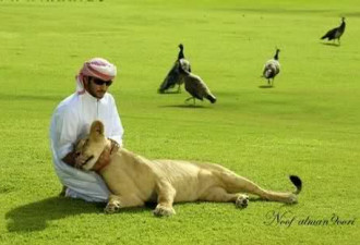 史上最全迪拜王族生活照 网友：羡慕！