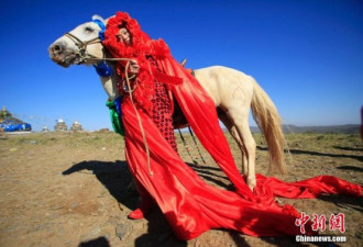 人兽情未了 女艺术家与蒙古马举行婚礼