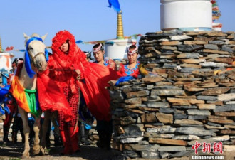 人兽情未了 女艺术家与蒙古马举行婚礼