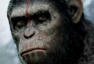 周末新片：人猿展开革命与人类开战
