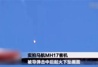 MH17谣言汇总：成普京专机的替死鬼？