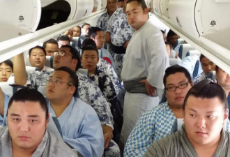 日本相扑手集体坐飞机 网友：明显超载