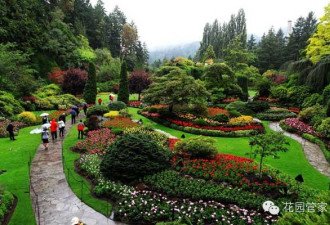 世界上最美的花园：加拿大布查特花园