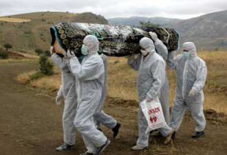 埃博拉病毒为何致命 去非洲旅游安全吗