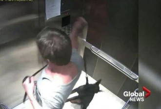 温哥华酒店经理电梯踹狗 被迫捐10万