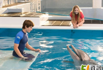 周末新片：Dolphin Tale 2 海豚正能量