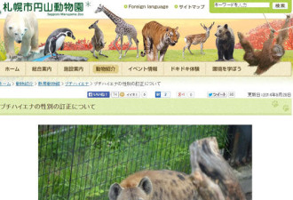 日本动物园乌龙：不断逼2只雄土狼交配