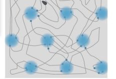 三科学家分享诺贝尔生理学或医学奖