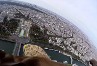 老鹰架摄像机航拍巴黎：高处一跃而下