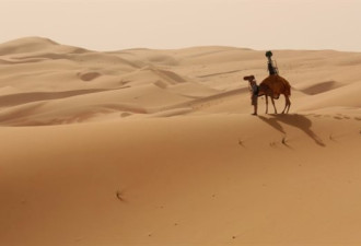 汽车进不去 谷歌街景用骆驼拍摄沙漠