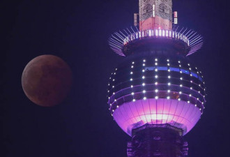 现场图集：世界各地共赏最美“红月亮”