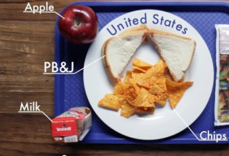 世界各国学生的学校午餐盒 看看都有啥