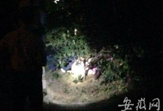 合肥一孕妇坠楼身亡 怀双胎即将临产