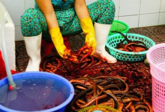 揭越南西贡生活：卖海鲜少妇大方性感