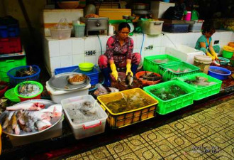 揭越南西贡生活 卖海鲜少妇大方性感