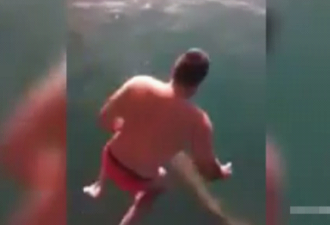 澳大利亚一男子不堪朋友挑衅跳上虎鲨