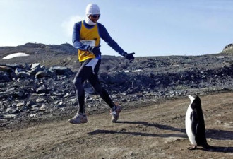 花8万南极陪企鹅跑马拉松？有钱任性！