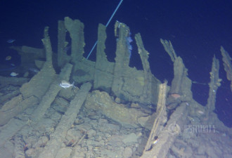 新西兰发现载有499具华人矿工遗骨沉船