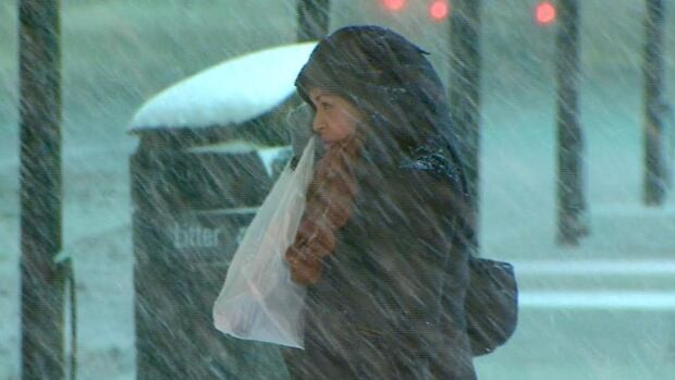 About 10 centimetres of snow is expected to fall by the late afternoon Thursday.