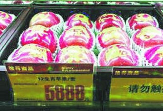 这就是南京的圣诞苹果 500人民币1个