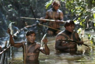 探秘亚马逊“一女多夫”原始部落生活