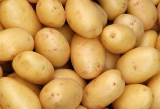 加国研究：土豆能减肥 对小白鼠有效