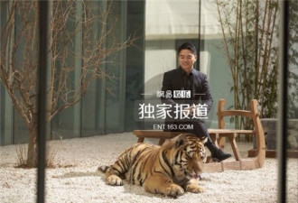 刘强东与老虎拍写真 绝口不提奶茶妹