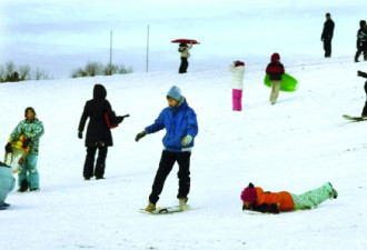 美10年23万童伤 多市14斜坡禁玩平底雪橇