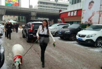 组图：新疆美女雪天街头遛羊 走红网络