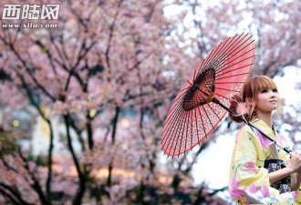 日本小姐性病大流行 怪罪起中国游客