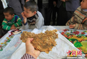 新疆牧民捡到15.7斤金块 似中国地图