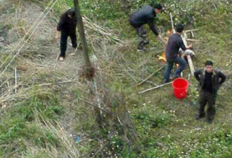 学生救小狗被教官在宿舍楼下当场烤食