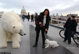 伦敦街头惊现“北极熊”坐电梯逛景点