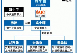 安邦猛如虎 前中共领导人家庭联姻背后