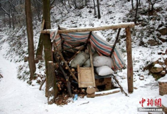 直击：在终南山修行36年的83岁隐士