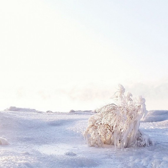 cold weather toronto