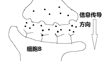 明星密集涉毒被抓 科普：毒瘾有多难戒