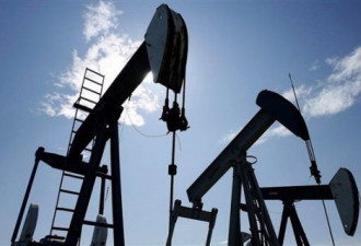 油价暴跌 加拿大今后两年石油仍将增产