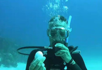 在20米深海打开个鸡蛋会发生何种奇迹？