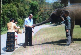 威廉王子访西双版纳野象谷 喂食亚洲象