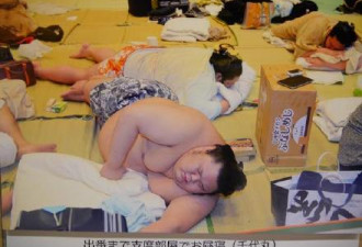 &quot;这叫油腻萌&quot; 日本人都在迷这个巨型宝宝
