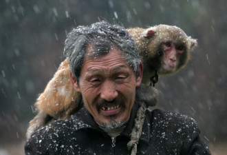 实拍耍猴人生活 妻子撩衣襟给猴喂奶