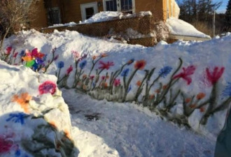 等不及春天 加拿大男子将雪地绘成花园
