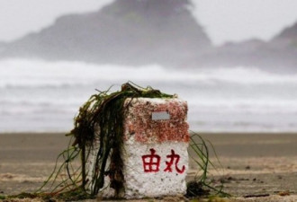 温岛西岸 测出日本福岛少量放射性物质