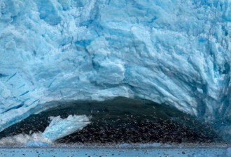 挪威冰川崩塌瞬间万鸟冰洞飞出 太壮观