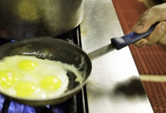 禽蛋业阳光灿烂：加拿大人鸡蛋消费增