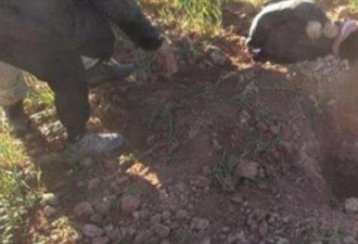 IS战士在荒野中用石刑处死一兽奸男子