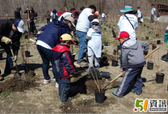 老老少少200人来植树：华人社区正能量