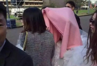 奶茶妹妹与刘强东悉尼拍婚照 深情拥吻