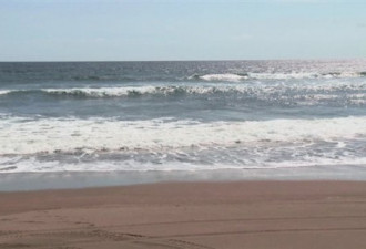 纽芬兰一知名海边沙滩的沙子哪去了？